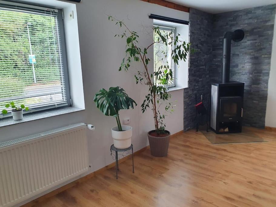 Kornhaus - Schoene Mit Pool, Kamin Und Terrasse Apartment *